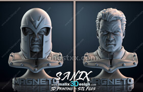 Cubebrush - Magneto Bust - 3D Printable Model - 3dmodel