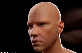 Digital Tutors - Sculpting Human Skin in ZBrush