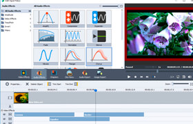 AVS Video Converter