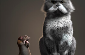 Rat and Cat