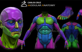 Artstation - Modular Anatomy Male