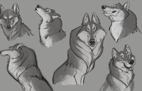 CreatureArtTeacher - Aaron Blaise - How to Draw Wolves, Coyotes & Foxes