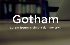 Gotham Font Family