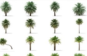CGAxis Models Volume 110 -  Palm Trees