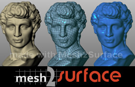 Mesh2Surface