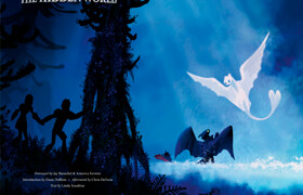 Dreamworks - How to Train Your Dragon - Hidden World - book