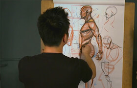 The Gnomon Workshop - Anatomy Workshop Volume 1-5