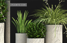 PLANTS 129