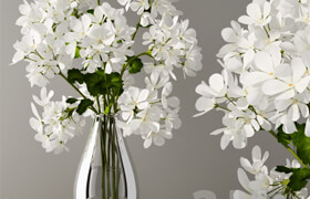 Geranium bouquet  ​