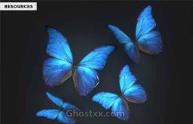 10 Animated Butterfly Travis Davids