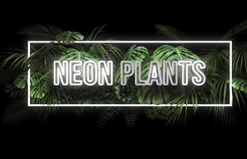 Motion Array - Neon Plants After Effects Text or Logo Intro Template