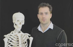 Scott Eaton - Anatomy for Artists Online Course