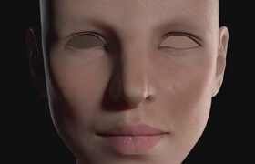 face displacement texturing maya arnold setup