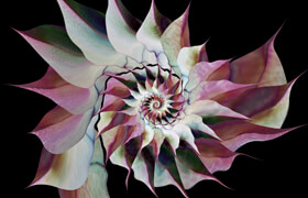 Ultra Fractal