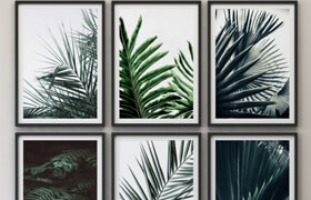 Tropical Set-01 Framed