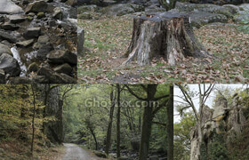 Reference Pack - Temperate Creek  Barthelemy Aupetit