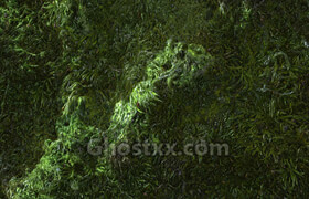 Seamless PBR Moss Material  Pete Mc Nally