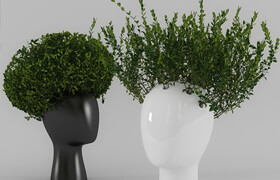 Wig vase with boxwood (part 1)