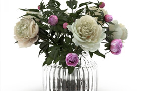 Cream Peonies in ribbed glass vase