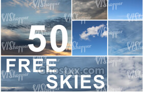 VIShopper 50 Free Skies