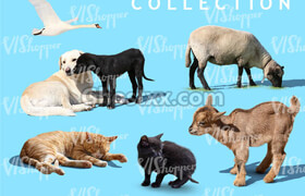 VIShopper Animals-Collection-1-FREE