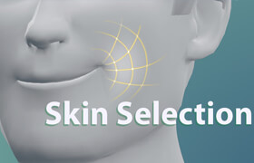 Skin Selection - Blender