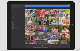 Lynda - Learning Lightroom Mobile