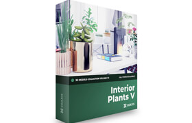 CGAxis - 3D Models Collection Volume 111 - Interior Plants V   ​