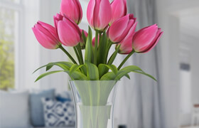 Tulips