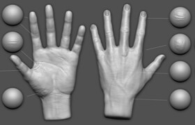 Gumroad - Zbrush - Hand Details VDM Brush