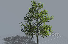 Tree It  Free 3D Tree Generator