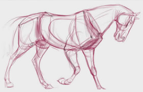 New Masters Academy - Introduction to Animal Anatomy 1-10