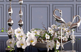 Decorative set. Orchid