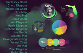 SkillShare - Infographic Design- Learn To Create Compelling Graphics from Facts & Data