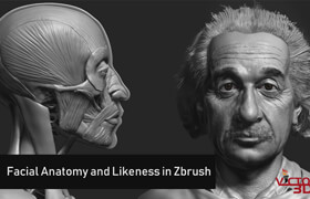 Udemy - Facial Anatomy and Likeness Tutorial