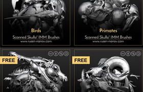 Skulls zbrush models