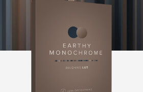 Lens Distortions - Earthy Monochrome Finishing LUT