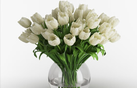 White tulips in a vase