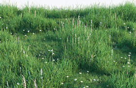 Cgtrader - Grass set 3D model