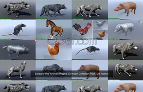 Cgtrader - Lowpoly Wild Animals Rigged 3D model Collection Pack