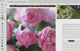 Lynda - InDesign 2020 New Features