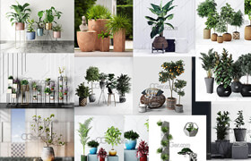 3dsky - Plant 2019 vol 1