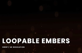VfxCentral - Loopable Embers