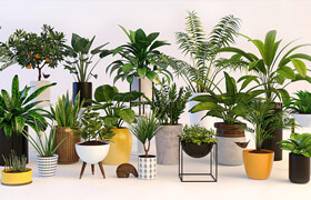 Cgtrader - Plants 3D model