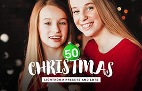 CreativeMarket - 50 Christmas Lightroom Presets LUTs