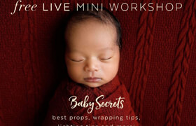 The Collective - Baby Secrets Webinar - Ana Brandt