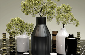 Plants and vases site kelly hoppen