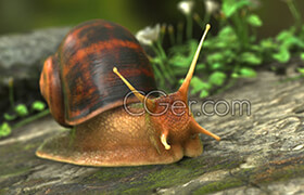 Cgtrader - The Snail VR  AR  low-poly 3d model