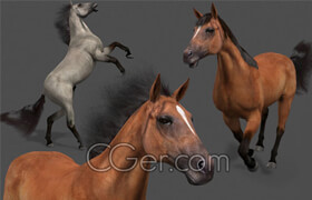 Cgtrader - Ultimate Horse Collection - 3d model