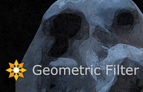 Geometric Filter